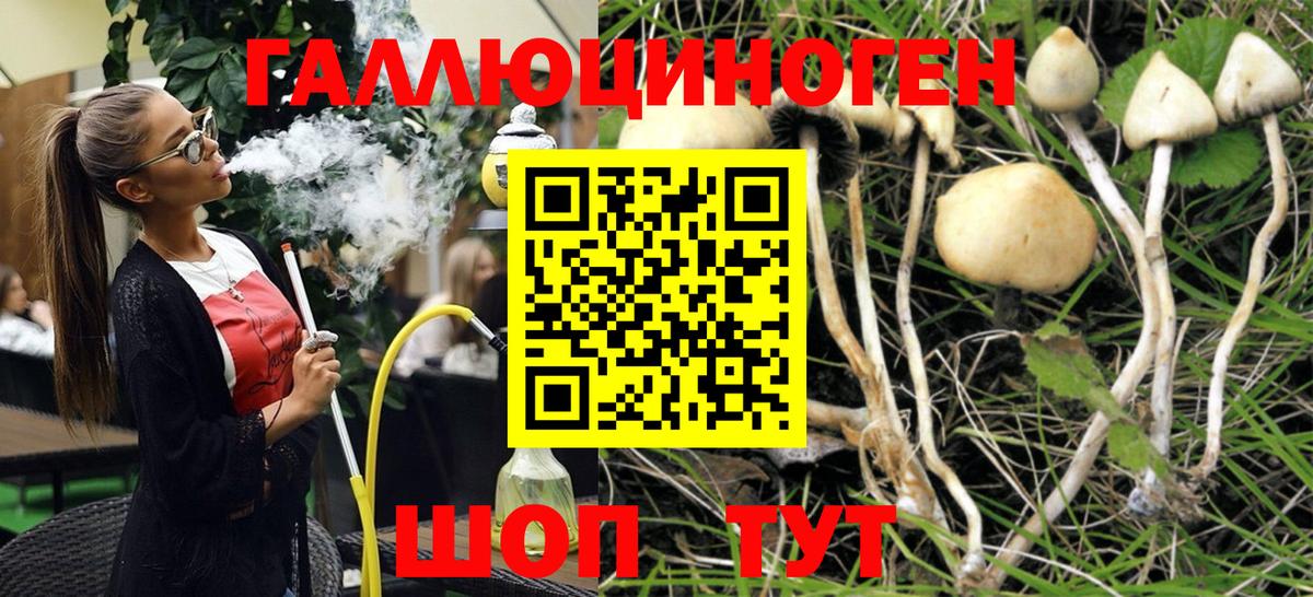 магазин продажи   Вход с VPN  Дзержинск  Псилоцибиновые грибы мухоморы 